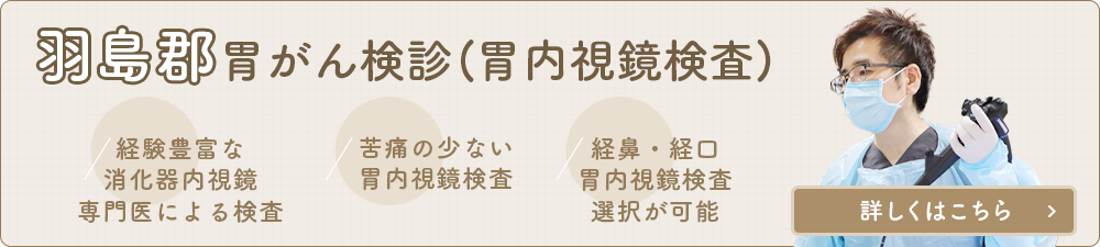 羽島群 胃がん検診（胃内視鏡検査） 経験豊富な消化器内視鏡専門医による検査 苦痛の少ない胃内視鏡検査 経鼻・経口胃内視鏡検査選択が可能