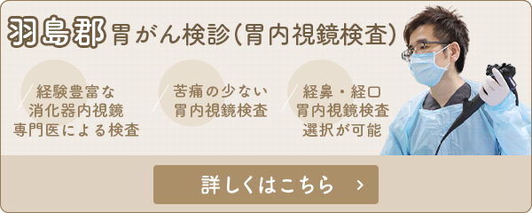 羽島群 胃がん検診（胃内視鏡検査） 経験豊富な消化器内視鏡専門医による検査 苦痛の少ない胃内視鏡検査 経鼻・経口胃内視鏡検査選択が可能