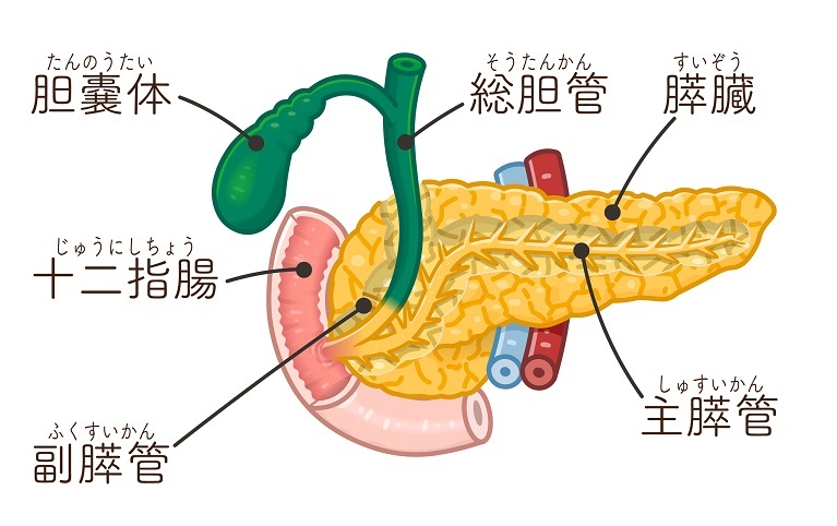 慢性膵炎とは